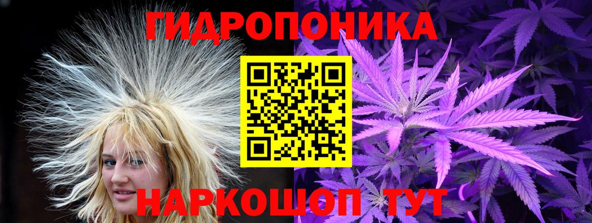 Марихуана OG Kush Сызрань